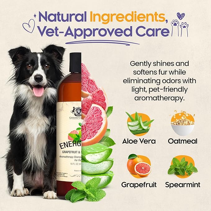 Dog Shampoo and Conditioner Energizing Grapefruit & Spearmint 16 Oz Dog Shampoo Itchy Skin Relief Aromatherapy Dog Shampoo for Smelly Dogs with Aloe Vera & Oatmeal Shampoo for Dogs by Gerrard Larriett