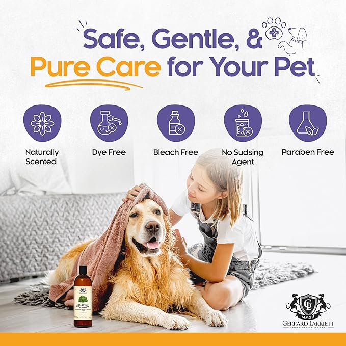 Dog Shampoo and Conditioner Relaxing Wildwoods 16 Fl Oz - Dog Shampoo Itchy Skin Relief, Aromatherapy Natural Dog Shampoo for Smelly Dogs with Aloe Vera & Oatmeal Shampoo for Dogs by Gerrard Larriett