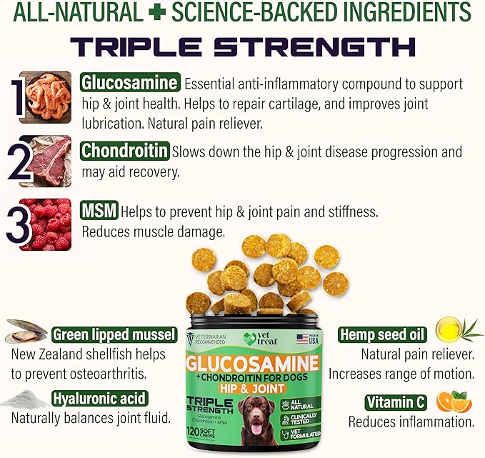 Glucosamine for Dogs – Hip & Joint Supplement with Chondroitin, MSM, Turmeric, Hemp Oil & Green Lipped Mussel – Arthritis Pain Relief, Mobility Support – Vet-Formulated, USA Made – 120 Chews