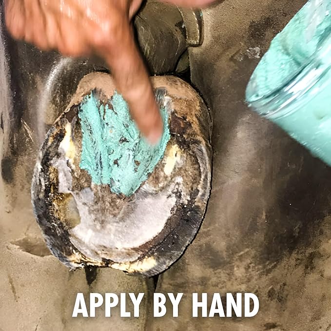 Horse Hoof Thrush Treatment Clay and White Line Equine Care: Effective on Horses, Cows, Goats, Sheep, Pigs and All Hooved Animals- 25 oz Jar New Heat Resistant Formula*