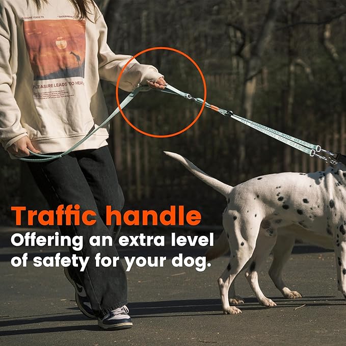 HOWGO Double Dog Leash, No Tangle 360° Swivel, Adjustable Two Padded Handles, Double Clip Dog Leash Coupler Splitter for Small and Medium Breeds (Orange, 2/3'' x 4.8 FT)