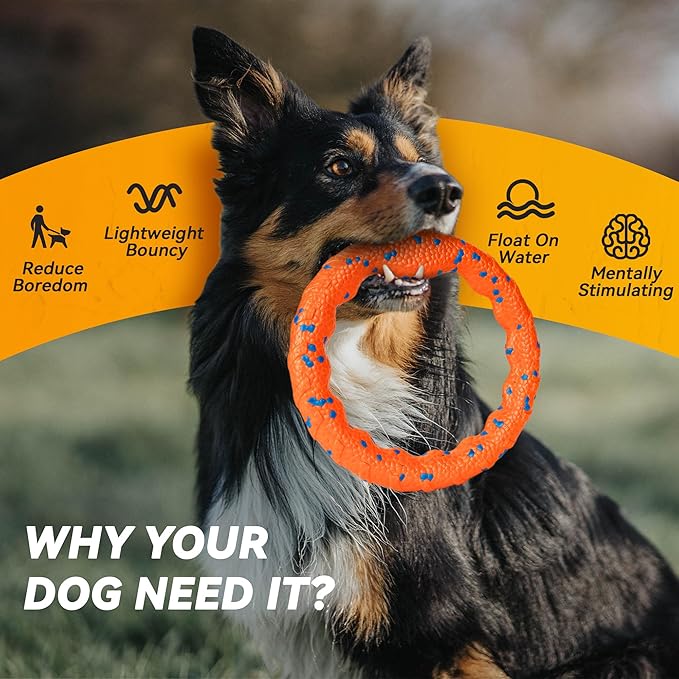 Dog Ring Toy, Indestructible Flying Discs for Throwing Catching, Water Floating Dog Training Ring for Medium Large Breeds (Orange - φ9 inches)