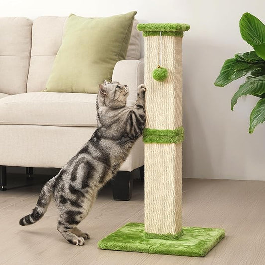 Indoor Cat Scratching Post: 32 in Tall Cat Scratcher with Natural Sisal Rope, Kitty Pet Tower with Sturdy Wood Base and Hanging Ball Toy, Great Gift for Small and Large Kittens, Green
