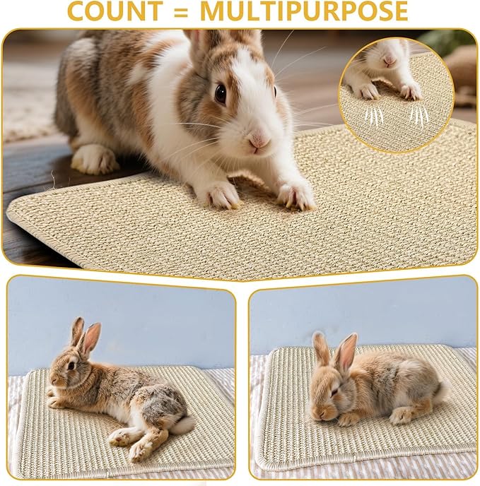 Hamiledyi 2Pcs Rabbit Scratcher Mat 16 ×12'' Natural Sisal Bunny Scratch Pad Rug with Rope Scratching Sleeping Nesting Pad Mat for Bunny Guinea Pig Chinchilla (2Pcs 16×12'')