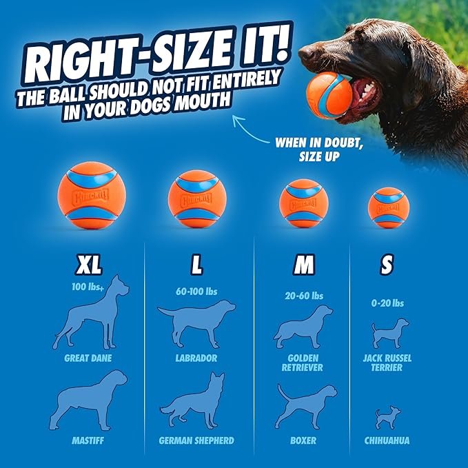 Chuckit! Dog Balls - Interactive Dog Toys, High-Bounce Fetch Ball, Floating Ultra and Rugged Balls, Durable - Size Medium, 2.5-inch Diameter, Set of 3