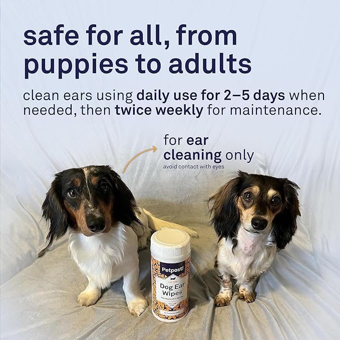 Petpost | Large Dog Ear Cleaner Wipes - Ultra Soft XL Cotton Pads in Coconut Oil Aloe Solution - Remedy for Dog Ear Rinse & Cleanser 60 ct.