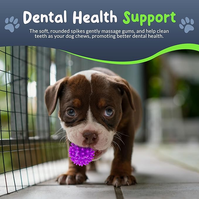 Spiky Dog Ball 1.8 Inch Squeaky Toy for Small Dogs Aggressive Chewers Puppy Teething Toys Dog Spike Ball for Training and Teeth Cleaning - 8 Pack