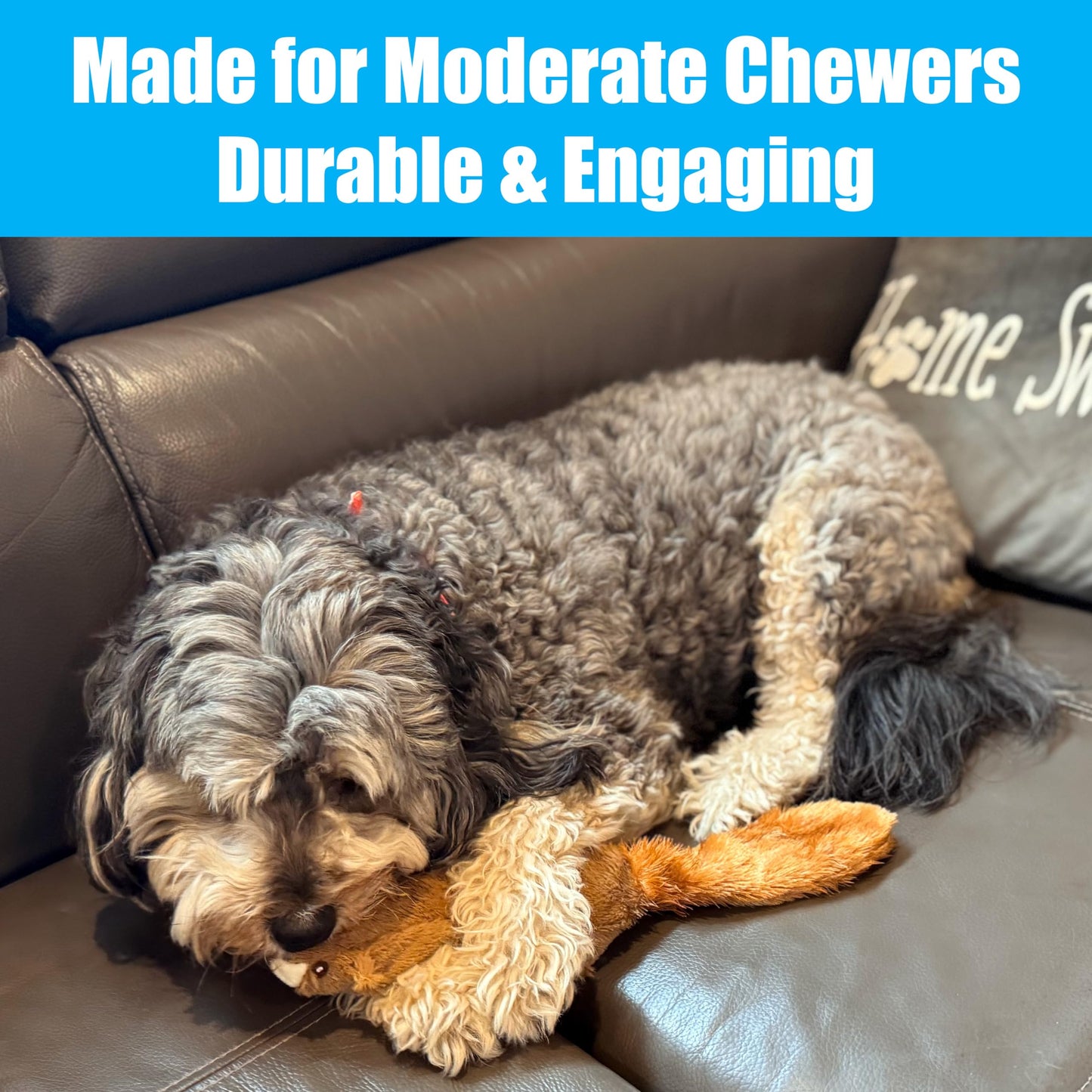 SPOT Skinneeez Plus Squirrel - Stuffing Free Dog Toy with Two Piece Rubber Body and Two Squeakers, Fun to Bite, Stuffingless Design is Great for Moderate Chewers, Tug Toy for Puppies & Dogs - 15in