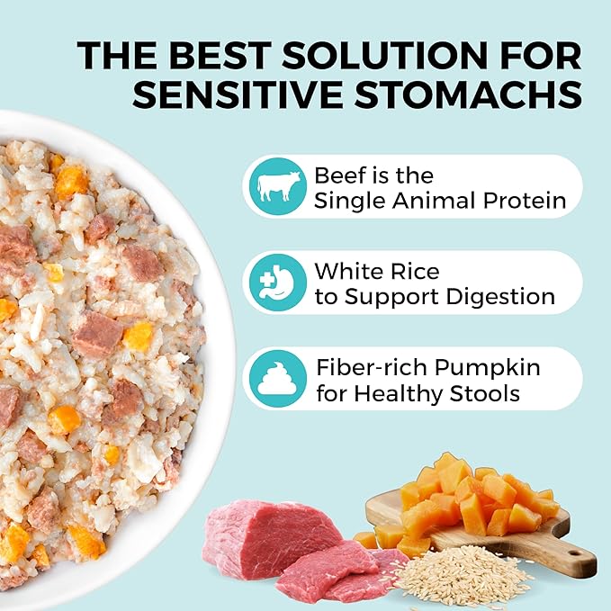 KOHA Pet Limited Ingredient Bland Diet for Dogs Value Pack, Beef and White Rice Recipe Sensitive Stomach Wet Dog Food, Gentle Formula Easy to Digest Bland Diet Dog Food, Pack of 30