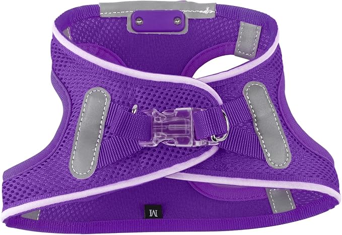 Light Up Dog Harness,Rechargeable LED Dog Harness for Small Medium Large Dogs,Reflective Lighted Safety Vest for Night Walking & Camping,Lightweight & Adjustable,Purple,M