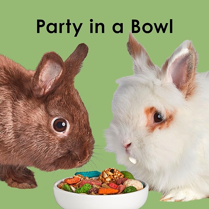 Kaytee Fiesta Rabbit Food, Nutritious and Fun Blend, Supports Dental Health and Digestion, 3.5 pounds