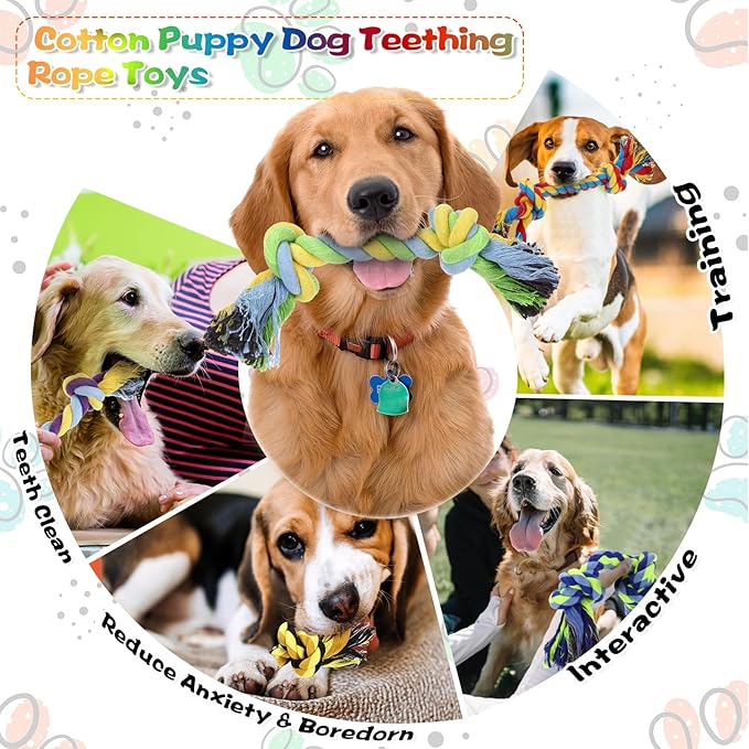 24 Pack Large Dog Rope Toys 10 Inch Chew Toys Bulk Natural Cotton Dog 2 Knot Dog Toy 2 Knots Chew Rope Toy Teething Rope Toys for Aggressive Chewers and Medium Dogs