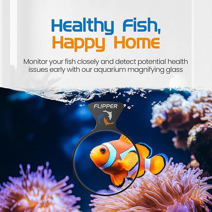 Flipper DeepSee 4" Viewer - Filter Clear Lens and Aquarium Magnetic Magnifier - Fish Tank Magnifying Glass for Coral Reef Aquarium - Magnetic Magnifying Glass Ideal for Photography - Black