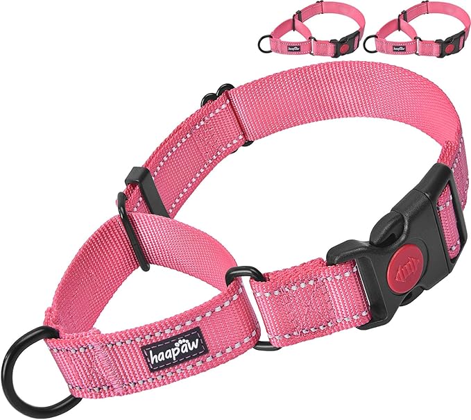 haapaw 2 Packs Martingale Dog Collar with Quick Release Buckle Reflective Dog Training Collars for Small Medium Large Dogs