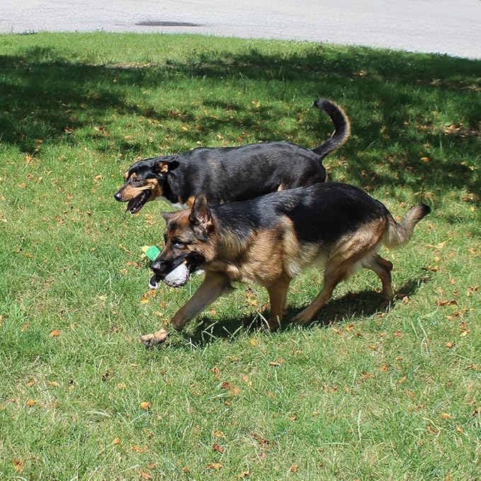 Jalousie 5 Pack Dog Squeaky Toys Three no Stuffing Toy and Two Plush with Stuffing for Small Medium Large Dog Pets (5 Pack)