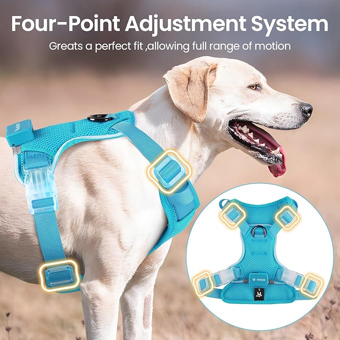 Light Up Dog Harness - Rechargeable LED Reflective Pet Vest for Night Walking - Adjustable No-Pull Safety Harness for Small Medium Large Dogs, Blue, XS