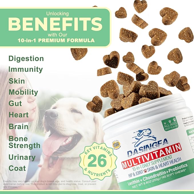 10-in-1 Dog Multivitamin Supplement, Calming Chews with Chondroitin & Probiotics, Mega Pack 8.8oz/250g (165 Chews), Supports Joint Health & Calming, Beef Flavor