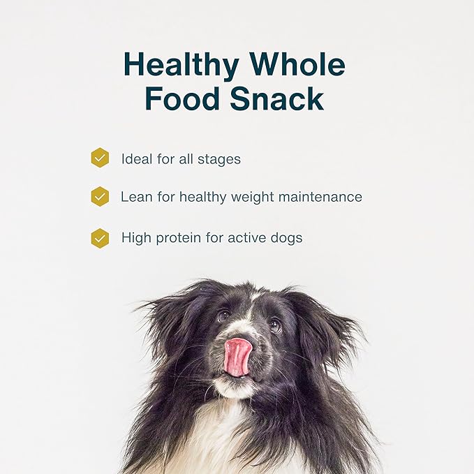 JustFoodForDogs Limited-Ingredient Healthy Dog Treats, Salmon Bark, Made in The USA, 5 oz