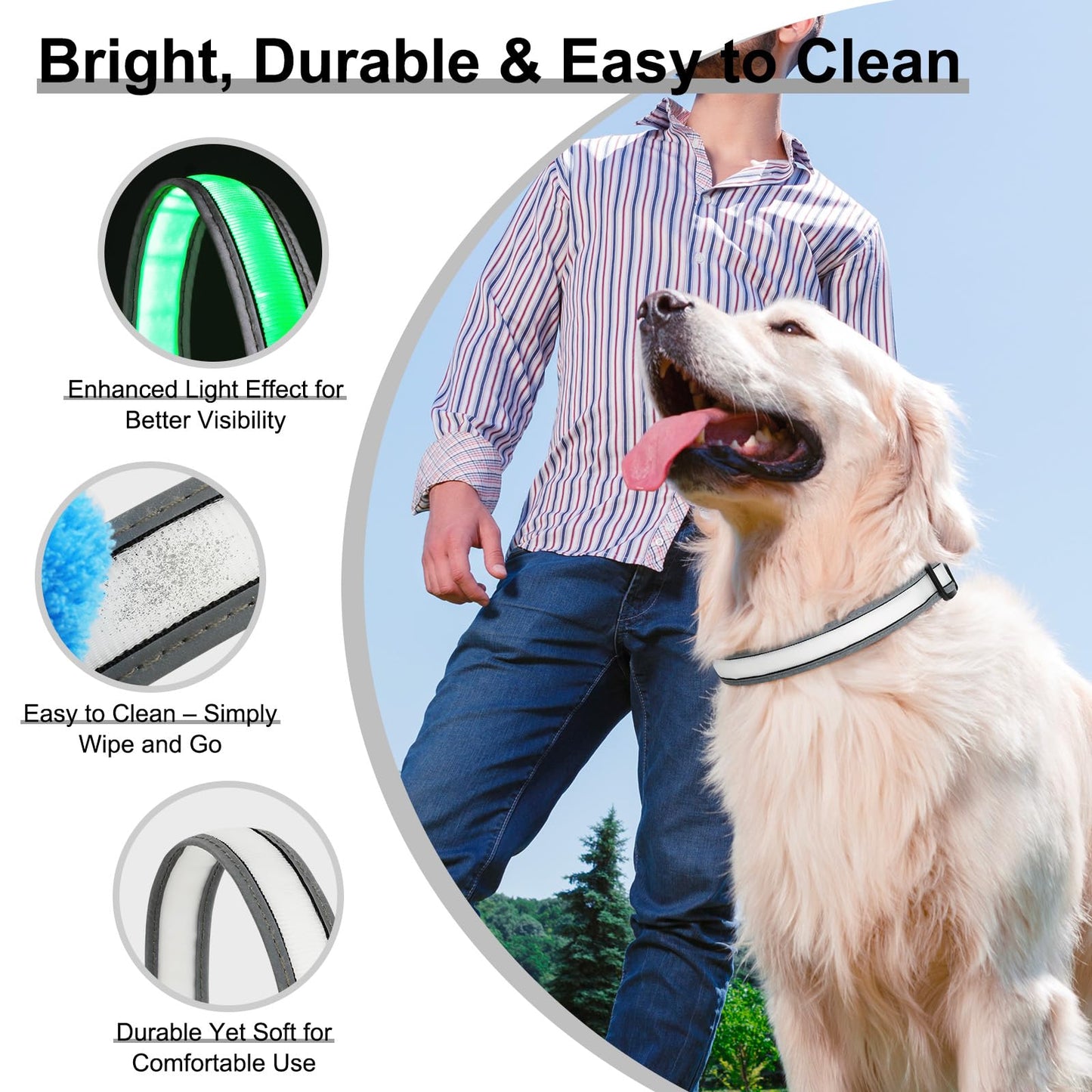 Light Up Dog Collar, Multicolor LED Dog Collar with 7 Modes, USB-C Rechargeable Reflective Glow Collar, Waterproof & Adjustable Design with Battery Indicator for Safe Night Walks (Small)