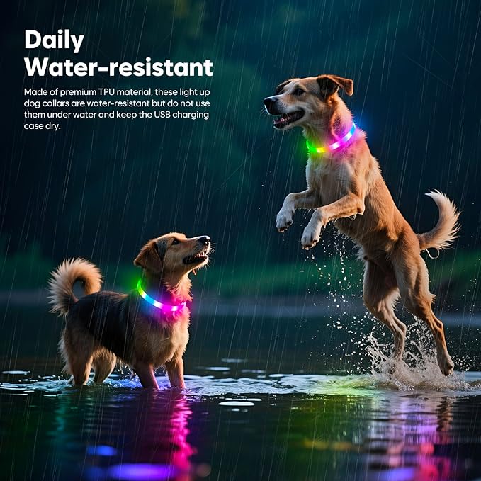 HIGO RGB LED Dog Collar Light - USB Rechargeable Light Up Dog Collars, Safety LED Dog Necklace for Your Dogs Walking at Night (Multi-Color)