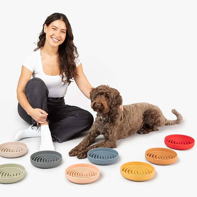The Slowdown Bowl Silicone Slow Feeder for Dogs & Puppies, Slow Eating, Modern Lick Mat Design, Reduces Gulping, Fits 2 Cups 7.5” Across x 1.5” Tall, Mealtime Challenge, Medium-Cherry