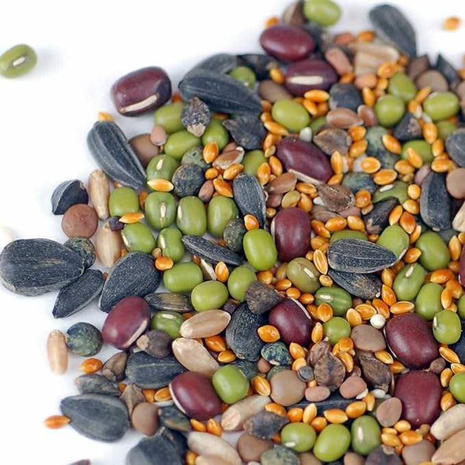 Handy Pantry Organic Birdseed - 2.5 Lb - Sprouting Bird Seed Mix for Small, Medium & Large Birds- Feed for Songbirds, Parakeets, Parrots, etc