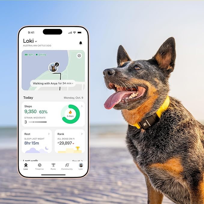 Fi Series 3+ Smart Dog Collar - GPS Dog Tracker and Activity & Fitness Monitor, Waterproof, LED Light, Escape Alerts, Nationwide Coverage [Free 6 Month Membership] (Yellow, Medium)