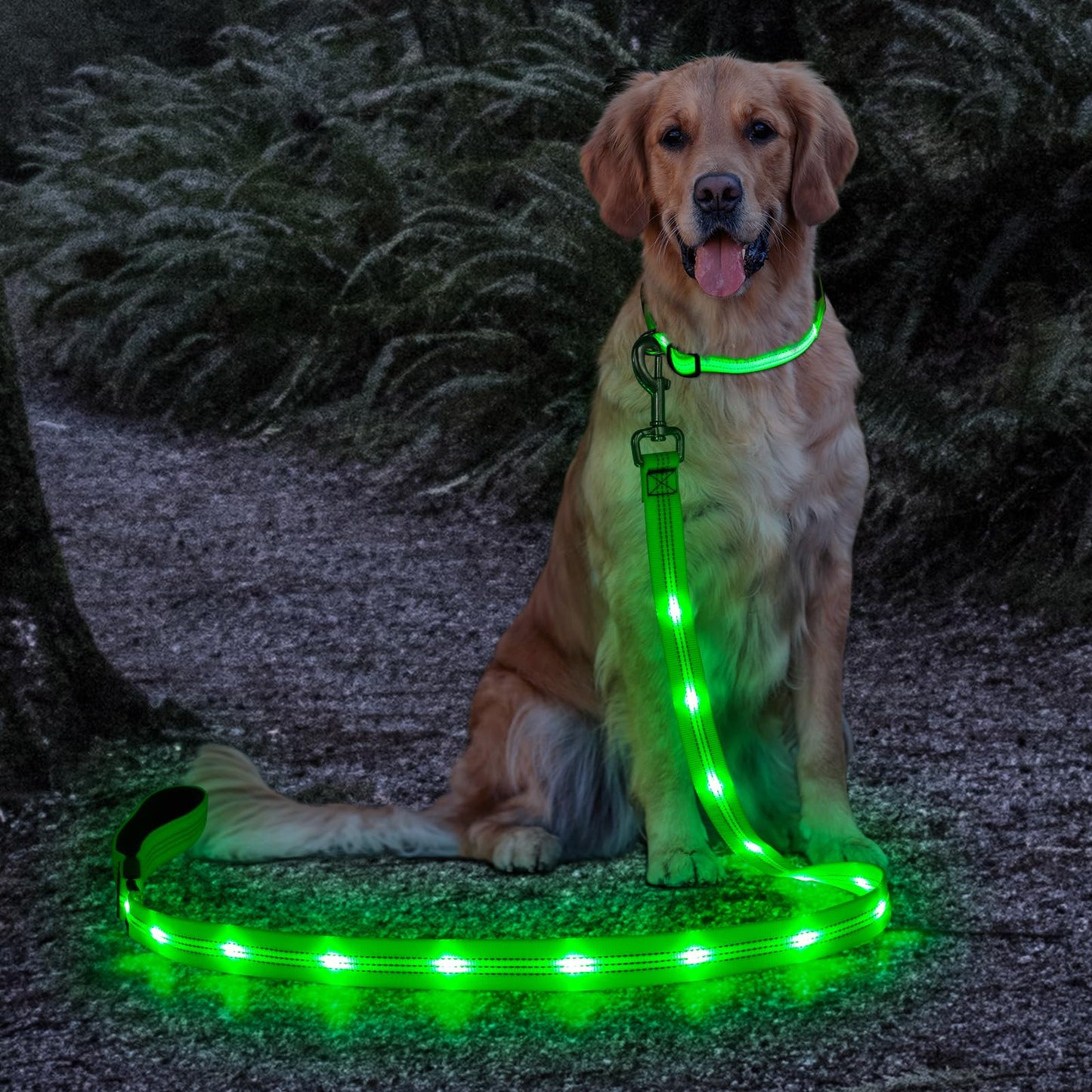 Candofly Light Up Dog Leash, Reachargeable Pet Leash with Light, 4 Ft Glowing Dog Rope Lead for Night Walking (Green)