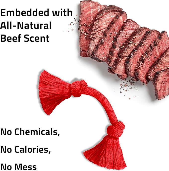 Playology Rope Toys for Dogs | Tug of War Dog Toy for Aggressive Chewers | Beef Scented Dog Toys | Medium Rope Toy for Interactive Play