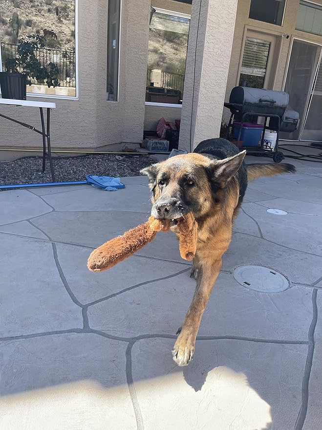 Jalousie 5 Pack Stuffingless Dog Crinkle Paper Toys Dog Toy Dog w/Durable Liner No Stuffing Dog Toy - Dog Toys for Pets Dogs No Stuffing Dog Crinkle Sound Toy for Medium Large Dogs