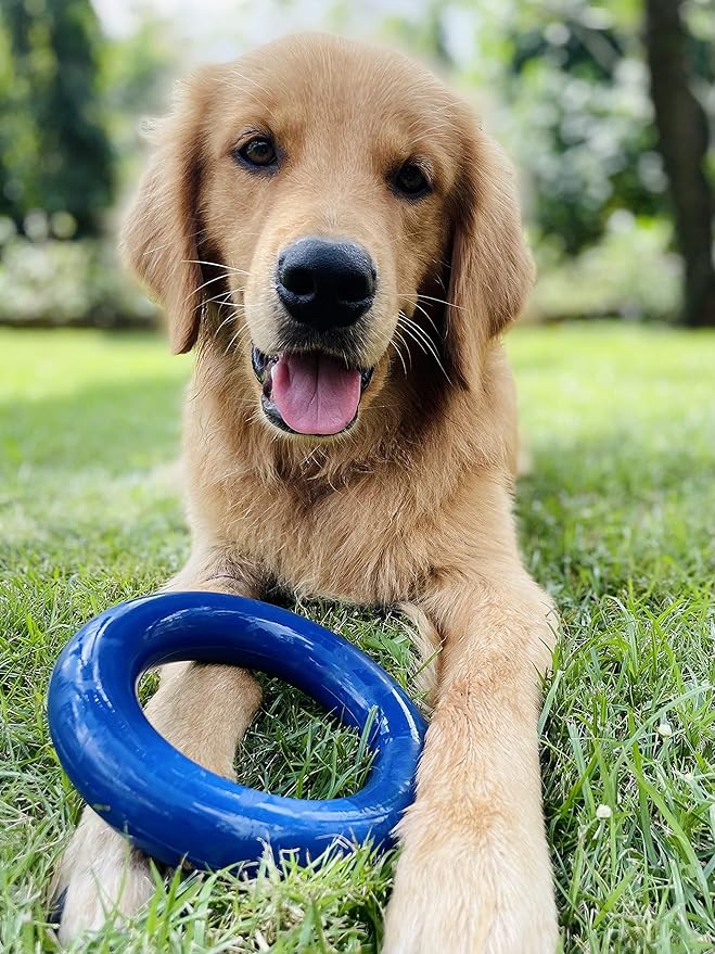 Tuff Pupper SuperChewy Tough Dog Ring Toy | Lifetime Replacement | Strong Natural Rubber | Chew Toys for Aggressive Chewers | Durable Tug Play | Strong Dog Ring Toy | Large Breed Tested