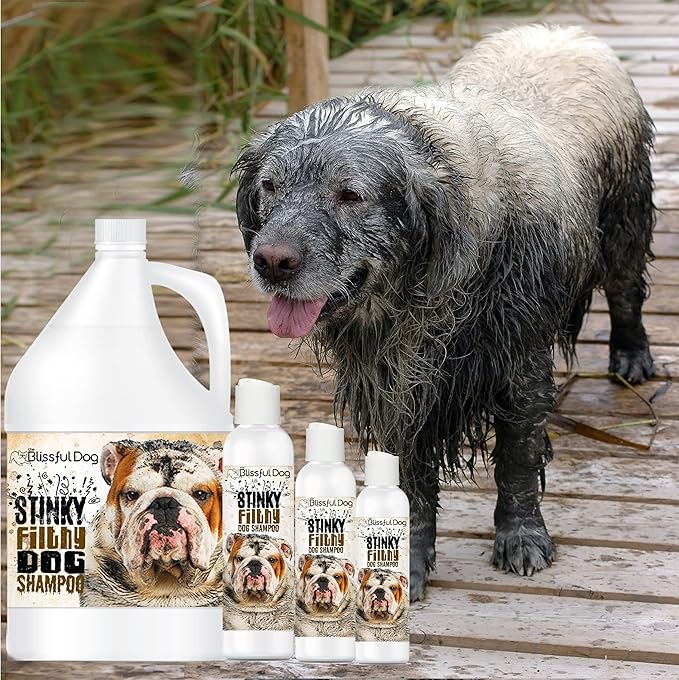 The Blissful Dog Stinky Filthy Dog Shampoo, 16 oz
