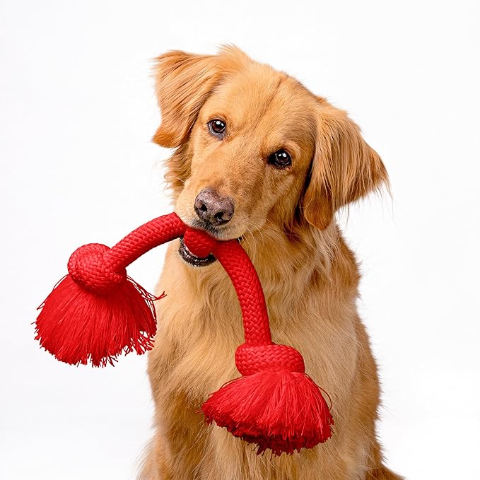 Playology Rope Toys for Dogs | Tug of War Dog Toy for Aggressive Chewers | Beef Scented Dog Toys | Jumbo Rope Toy for Interactive Play