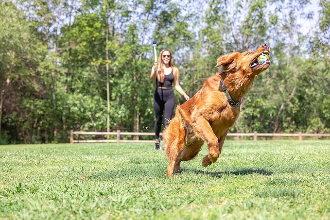Chuckit! EcoFetch Dog Ball Launcher - Medium (2.5") Dog Fetch Portable Sports Ball Thrower for Dogs 20-60 Pounds