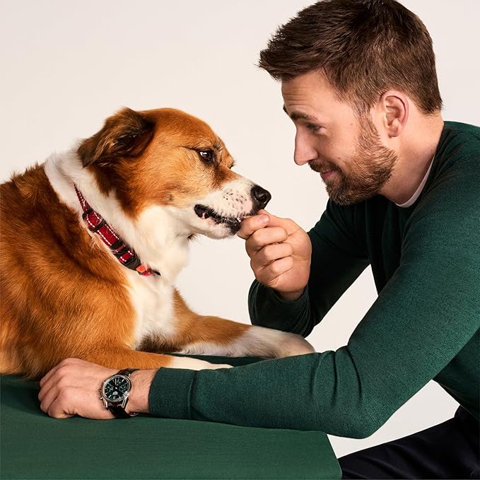 Jinx Chicken Tenders Jerky Dog Treats – Soft & Chewy, All Natural Dog Jerky Treats with Cage-Free Chicken - Pet Products for All Dogs (Puppies, Adults & Seniors) - 5oz