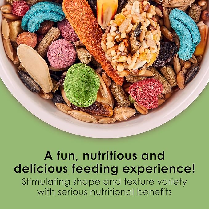 Kaytee Fiesta Hamster Gerbil, 2.5-Pound