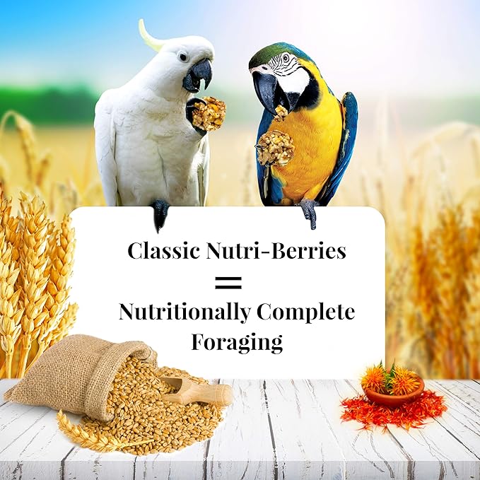 LAFEBER'S Classic Nutri-Berries Pet Bird Food, Made with Non-GMO and Human-Grade Ingredients, for Macaws and Cockatoos, 10 oz