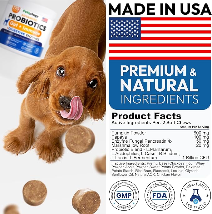 Probiotics for Dogs - 170 Dog Probiotics Chews - Digestive Enzymes & Prebiotics - Support Gut Health, Diarrhea, Gas & Constipation Relief - Itchy Skin, Allergies, Yeast Balance - Advanced Supplement