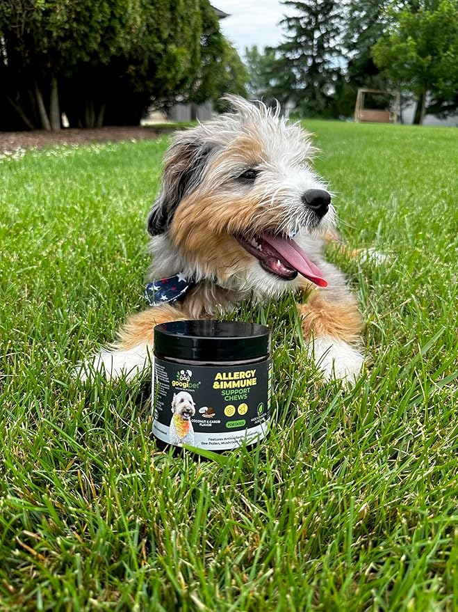 Googipet Dog Allergy Chews, Seasonal Dog Allergy Relief & Itchy Skin Relief, Skin & Coat Supplement +Bee Pollen, Colostrum, Coconut Oil, Probiotics, & Omega 3 Fish Oil for Dogs