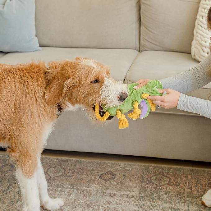 Squeaky Dog Stuffed Animals Chew Toy, Crinkle Paper Tug of War Rope Plush Dog Toy, Soft Tough Squeaker Dog Entertainment Toys for Home Alone, Fun Boredom Busters for Dogs - Dragon