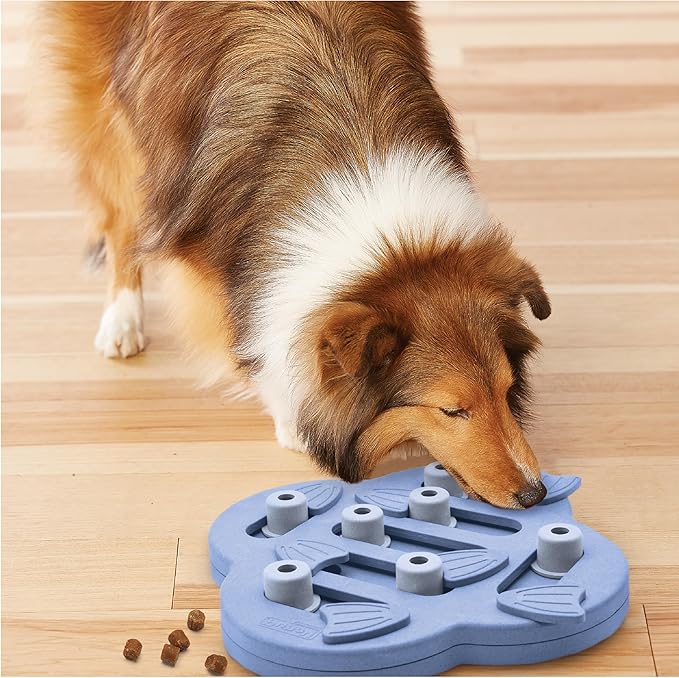 Outward Hound by Nina Ottosson Dog Hide N' Slide Treat Puzzle Enrichment Toy, Level 2 Intermediate, Purple, Composite