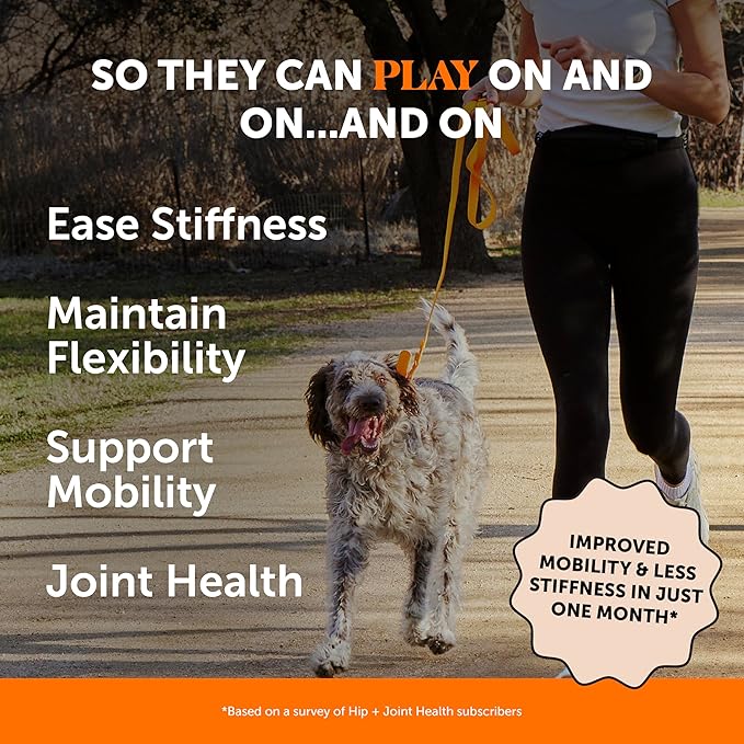 Hip & Joint Health - Dog Joint Supplement Support for Dogs with Glucosamine Chondroitin, MSM, Turmeric - Glucosamine for Dogs Soft Chews - Advanced Pet Joint Support and Mobility - 180 ct