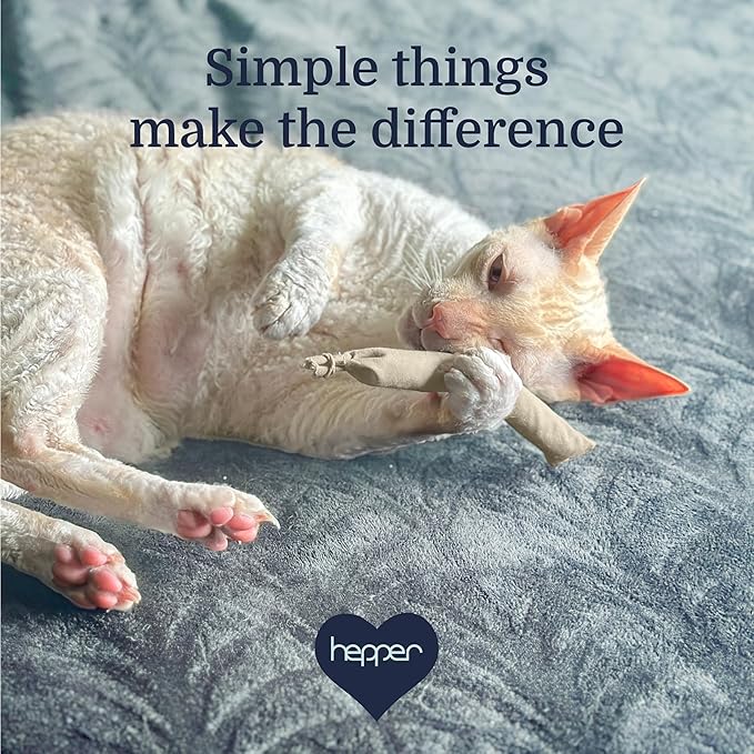 Hepper Stick Catnip Kicker - Organic American Catnip Toys/Kitten Toys for Indoor Cats, Cat Supplies with Catnip