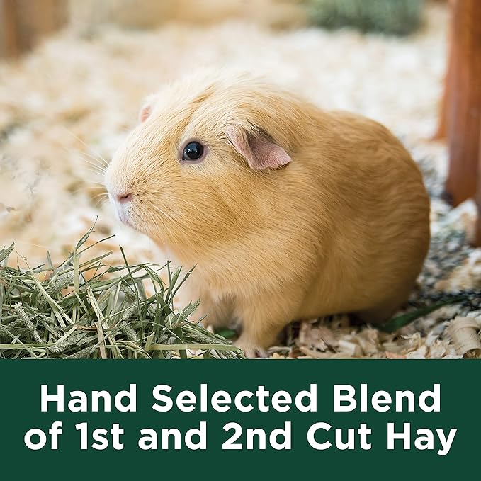Kaytee All Natural Timothy Hay Plus Marigolds for Guinea Pigs, Rabbits & Other Small Animals, 24 Ounce