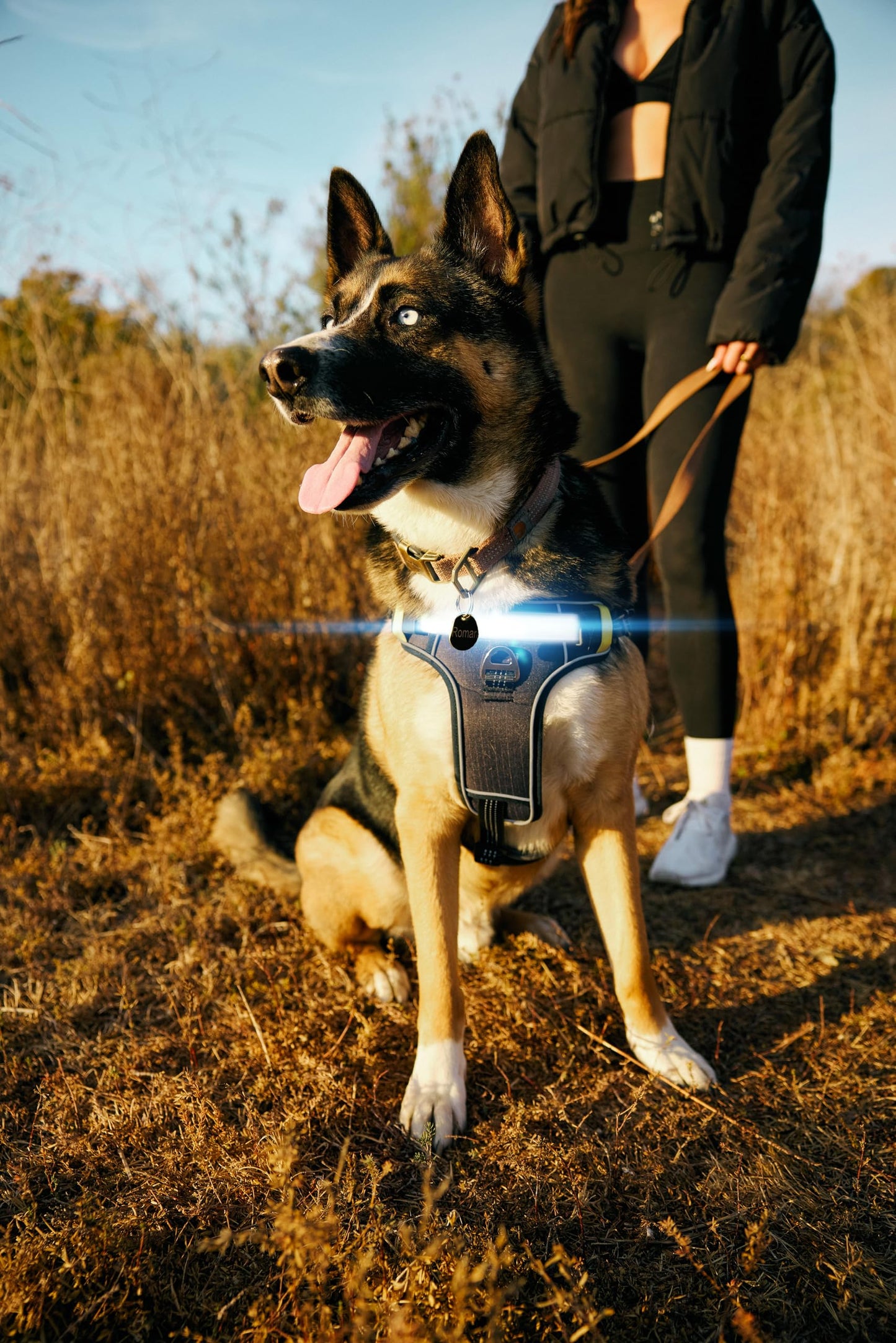 Lumi One LED Dog Harness for Night Visibility and Safety, Patent Pending – High-Visibility Light-Up Dog Vest with 1000 Lumen LED, Rechargeable Battery, Adjustable Fit, Reflective Trim (Black, Medium)