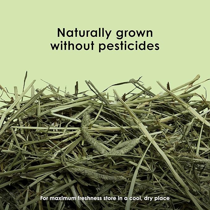 Kaytee Timothy Hay, High Fiber, Grown Specifically for Small Animals, Rabbits, Guinea Pigs, Chinchillas, 48 Ounces