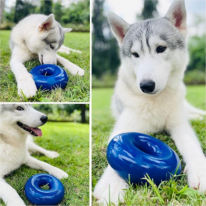 Tuff Pupper SuperChewy Tough Dog Ring Toy | Lifetime Replacement | Strong Natural Rubber | Dog Chew Toys for Aggressive Chewers | Durable Tug Toy | Ring Toys for Strong Dogs | Large Breed Tested