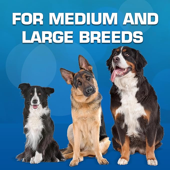 Nerf Dog Tire Squeak Football Outdoor Dog Toy, 6 Inch Dog Football Squeaking Toy for Medium and Large Breeds, Blue