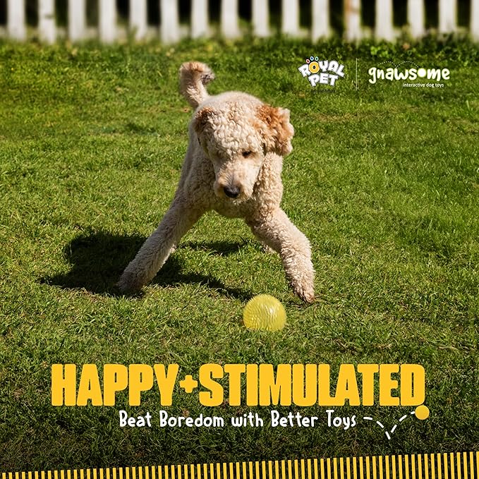 Gnawsome™ 4.5” Spiky Squeaker Ball Dog Toy - Extra Large, Cleans Teeth and Promotes Good Dental and Gum Health for Your Pet, Colors will vary, 4.5"