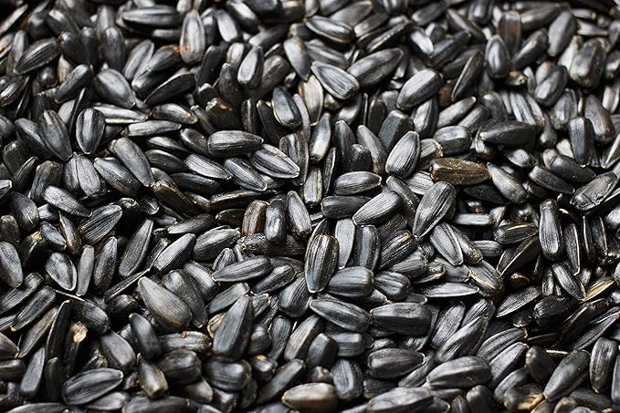 Flying Colors Premium Organic Wild Bird Seed | Black Oil Sunflower Seed | USDA Organic Ingredients | Best Seed for Backyard Bird Feeders | 3 Gallon Easy-Pour Carton